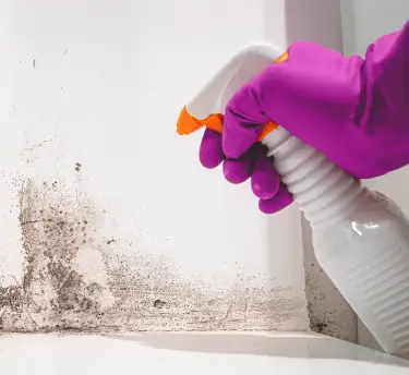 Person cleaning
