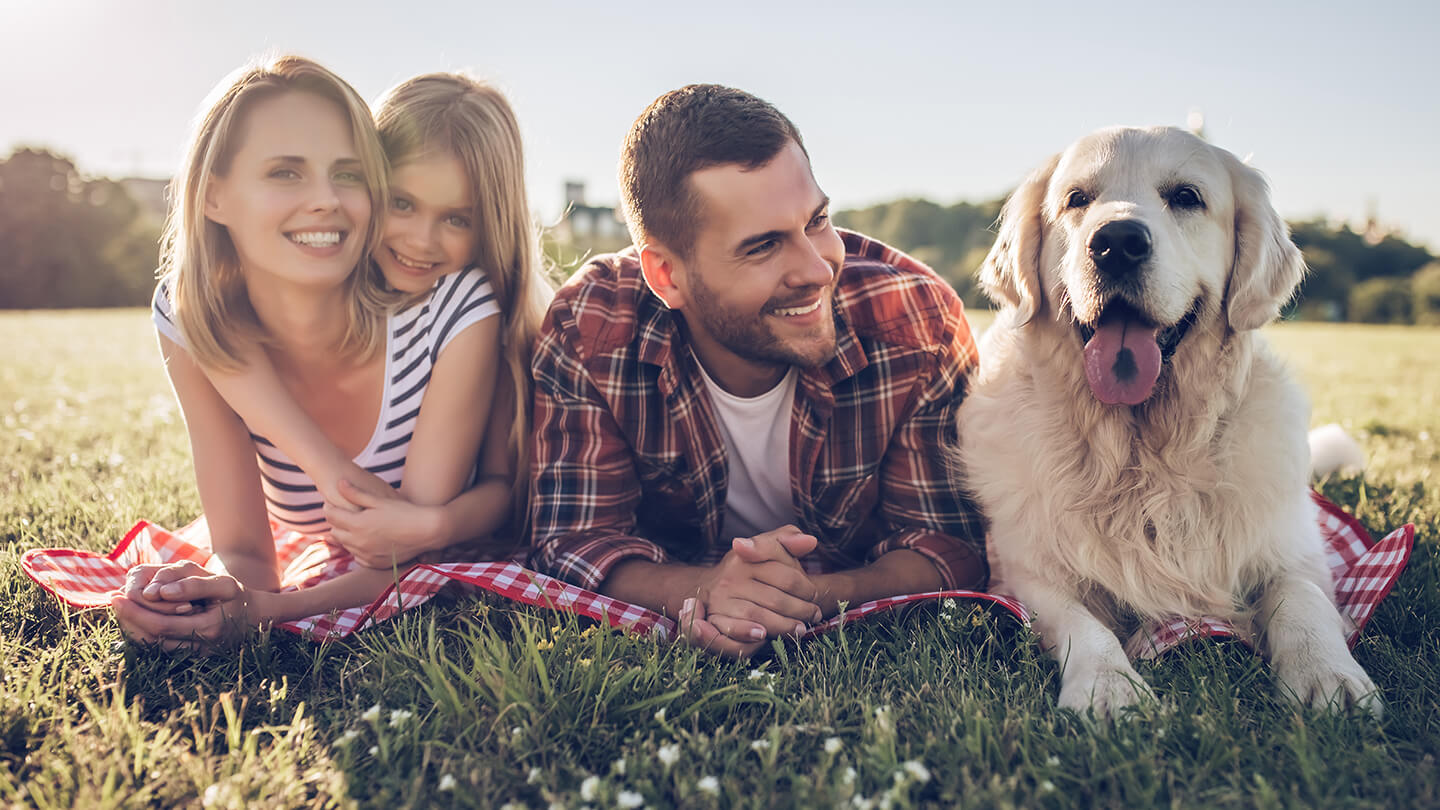 Los miembros de una familia, tendidos en un campo, al aire libre, junto con su perro.