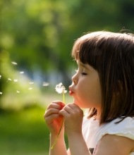 A little Girl blowing dandelions outside in the daytime.
