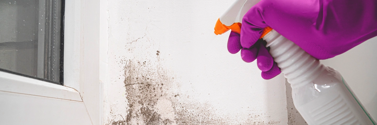 Mould allergy