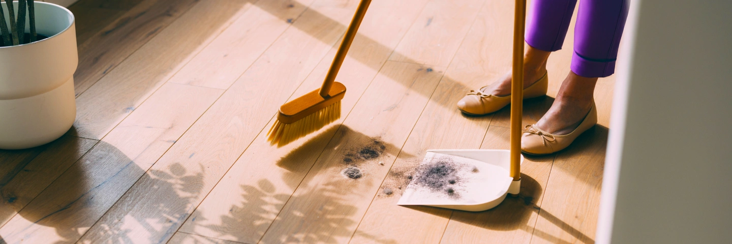 Dust allergy